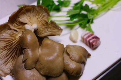 平茸