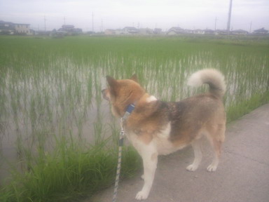 涼風の中