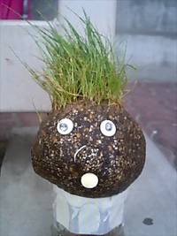 暑かったんで、散髪