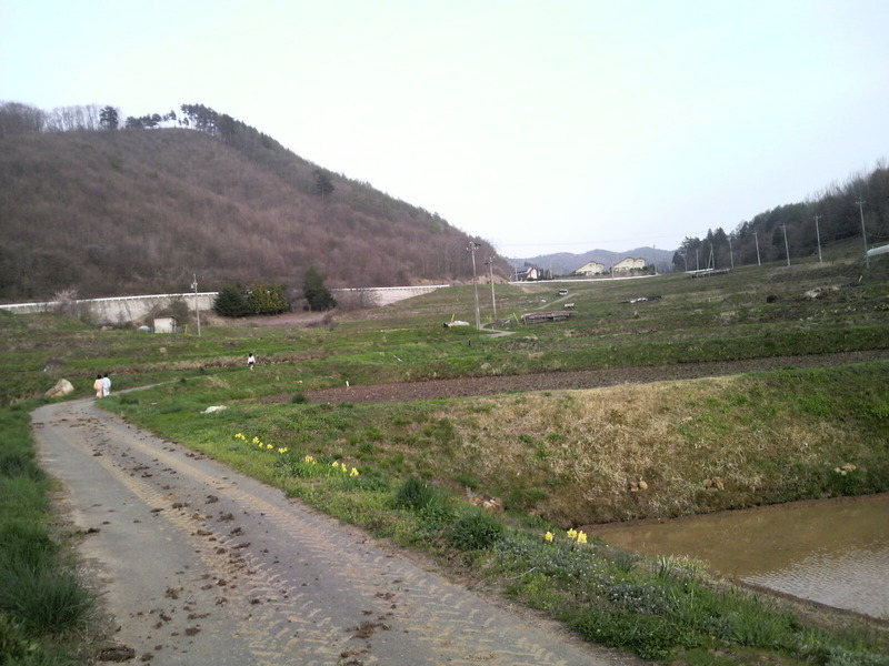 山間の田んぼ道