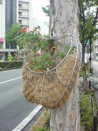 リンゴの形のメッシュプランター♪
