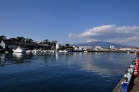 沼津港