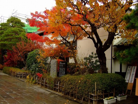 11/16　ふらっと長野市内（散歩編）