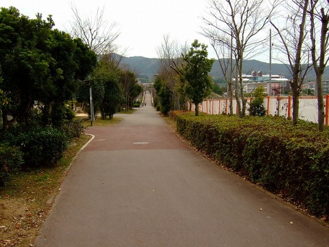 故郷は遠い街