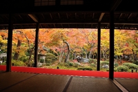 圓光寺