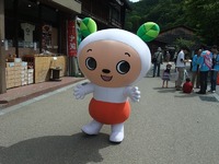 なーのちゃんに会う