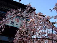 今年も第一歩から