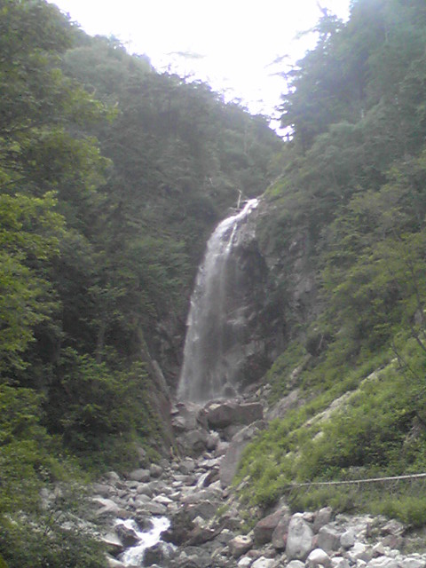 登山道等現地視察