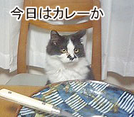 飯