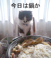 飯