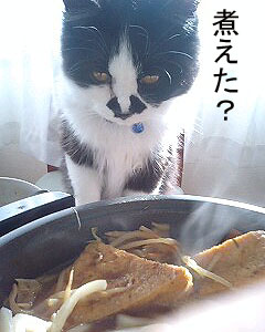 飯