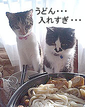 飯