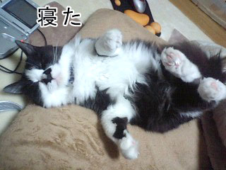 ねぶい