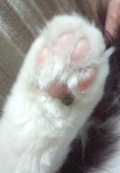 だっこ