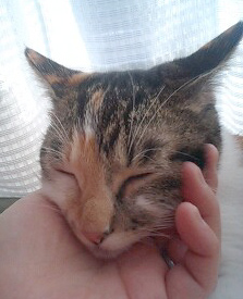 たまらん