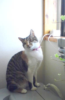 今日も明日も