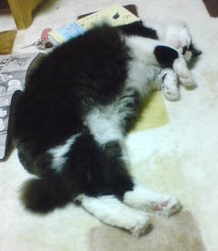 今日も眠ネタ