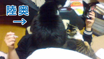 重い。