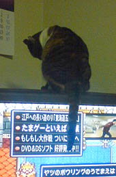 復活！