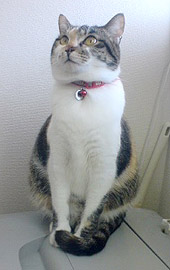 ぼ〜っと