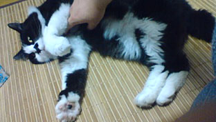 も～みもみ