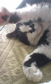うんどう