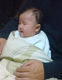 何が見えた