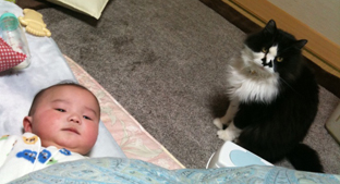 なんとなくね