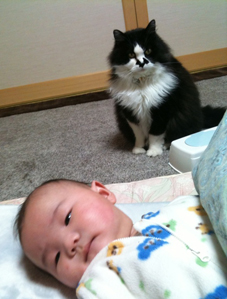 なんとなくね