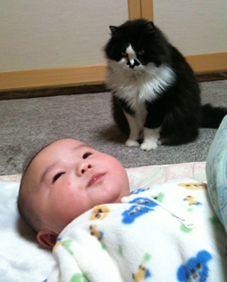 なんとなくね