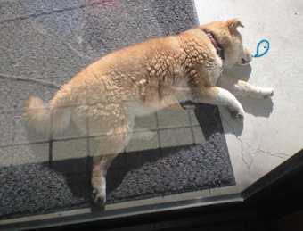 眠いの。