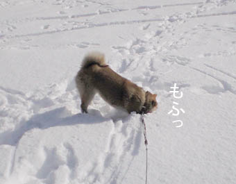 フォースを感じる