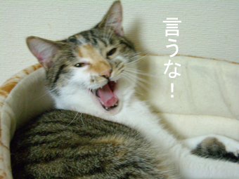 あ、そうそう