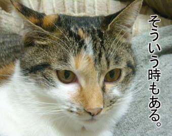 ついうっかり
