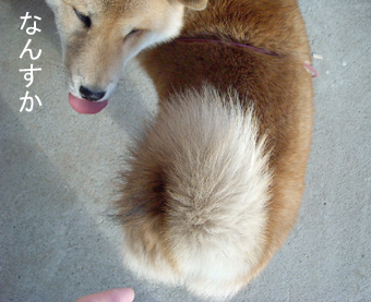 重いの