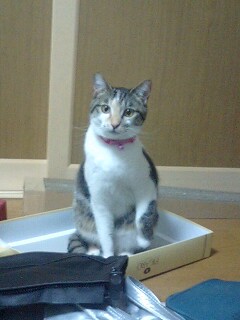 おぉう