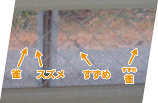 ちょっといい
