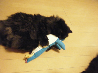 離しませんよ