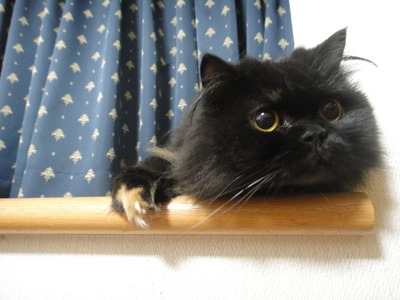 あまあまスポットにて