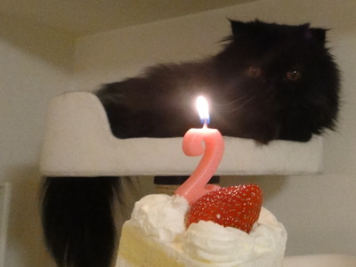 クマの誕生日☆