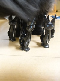 黒猫の洗濯バサミ