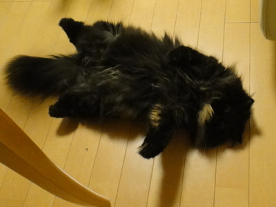 すっぴんは撮っちゃだめ