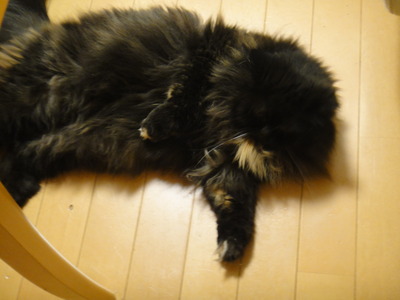 すっぴんは撮っちゃだめ