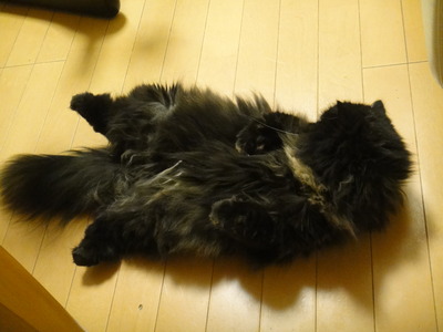 すっぴんは撮っちゃだめ