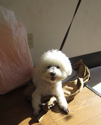 頑張った！練習したことが・・大成功に結びつきました。