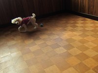 短い時間でも・・スタッフと仲良し＆楽しい時間を過ごします。
