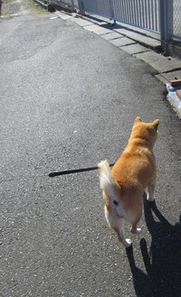 すぐに・・仲良しになりました。目力　強し！！