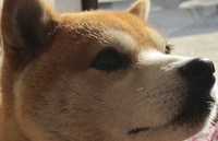 すぐに・・仲良しになりました。目力　強し！！