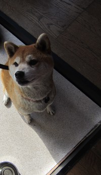 すぐに・・仲良しになりました。目力　強し！！
