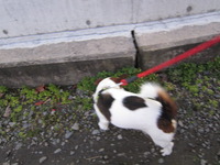 楽しい時間を・・・過ごしてほしいから！